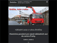 Tablet Screenshot of brdicka.com